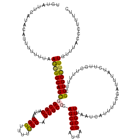 secondary structure