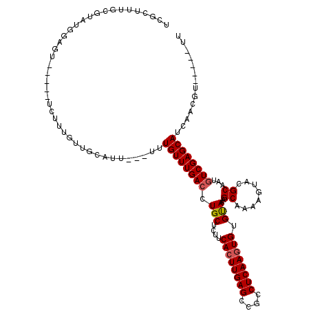 secondary structure