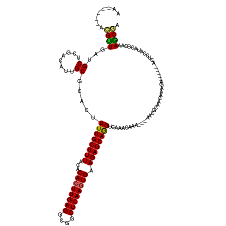 secondary structure