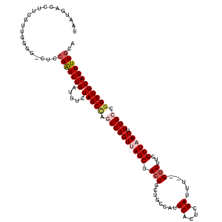 secondary structure