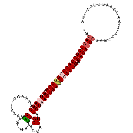 secondary structure