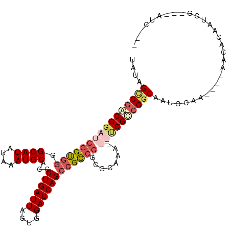 secondary structure