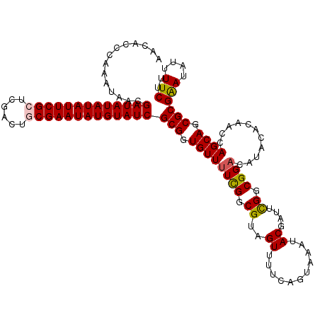 secondary structure