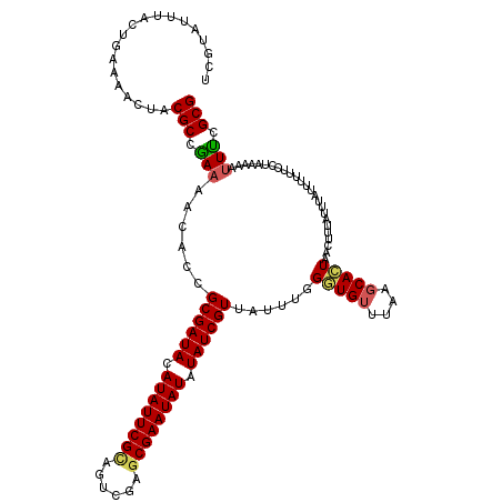 secondary structure