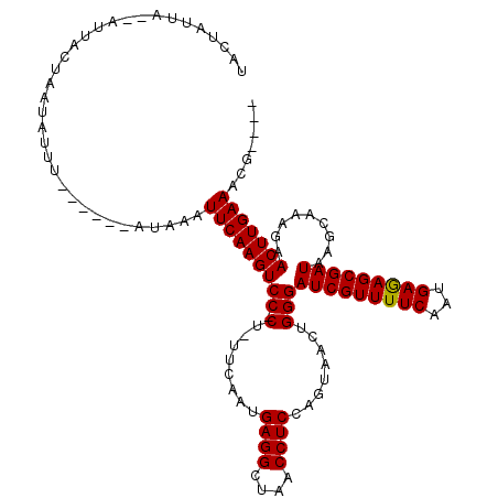 secondary structure
