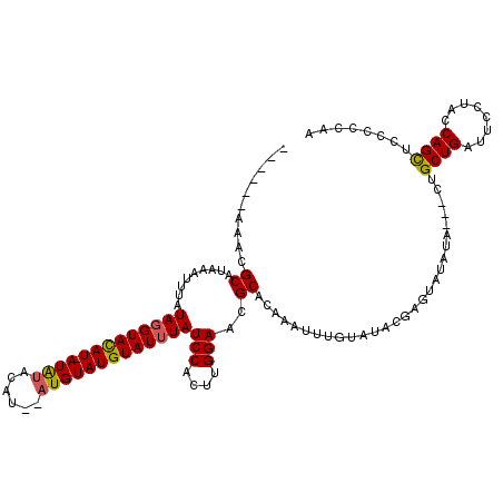 secondary structure