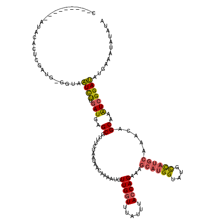 secondary structure