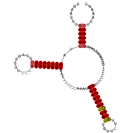 secondary structure