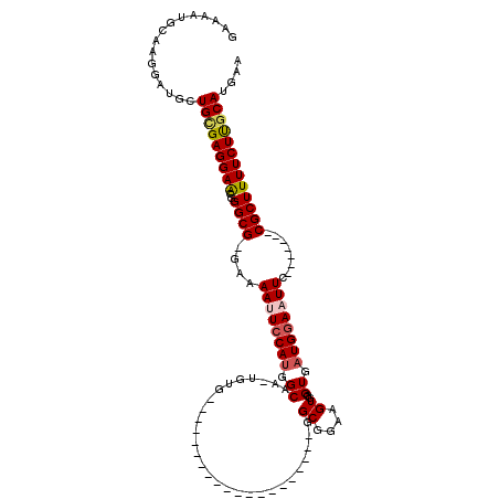 secondary structure