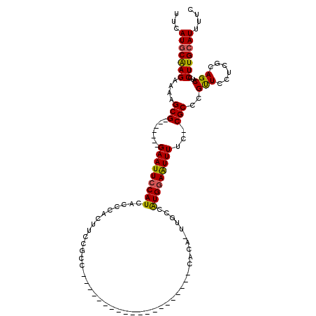 secondary structure
