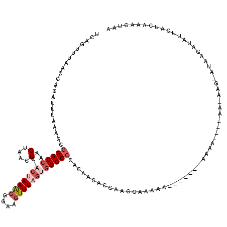 secondary structure