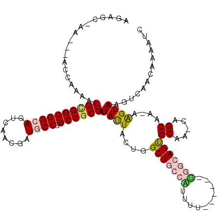 secondary structure