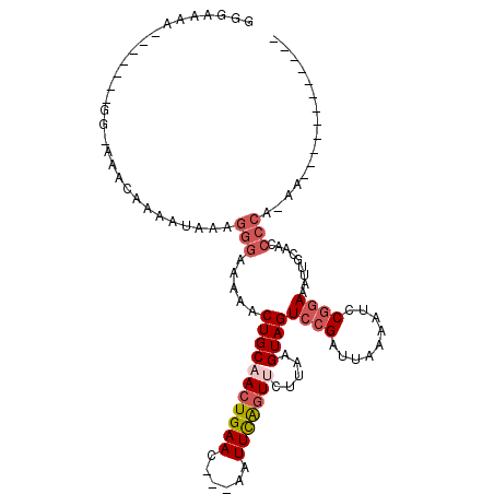 secondary structure