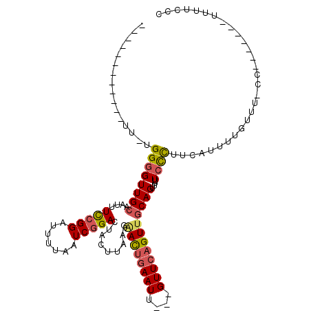 secondary structure