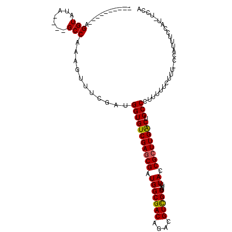 secondary structure