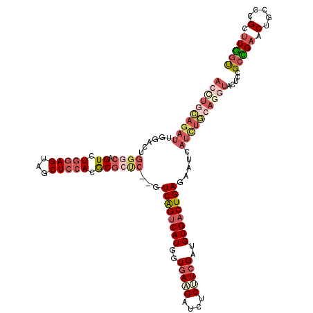 secondary structure