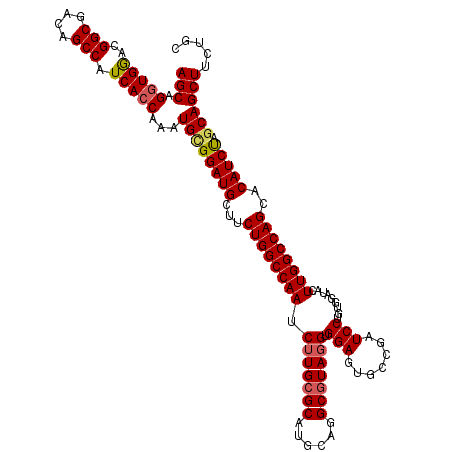 secondary structure