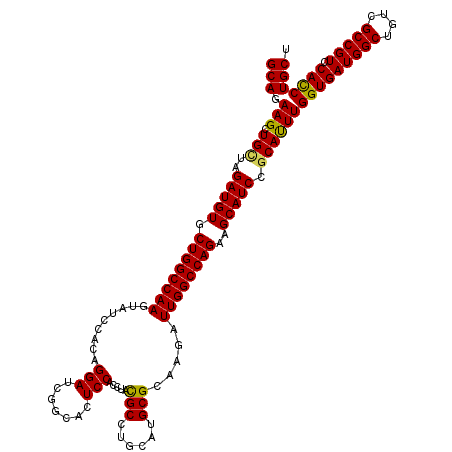 secondary structure