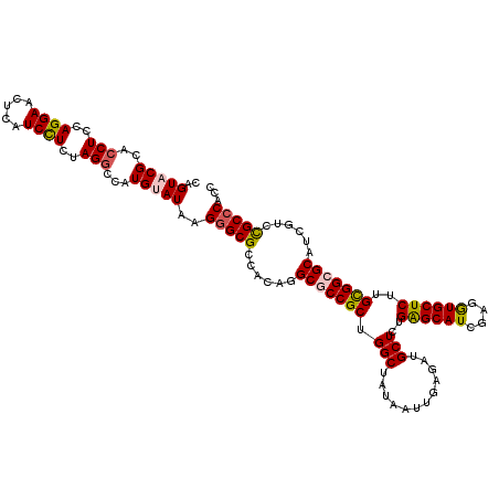 secondary structure