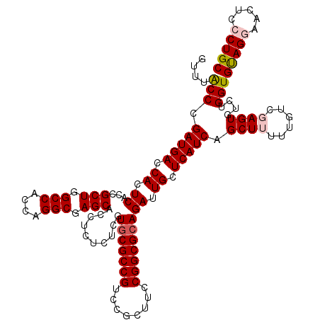 secondary structure