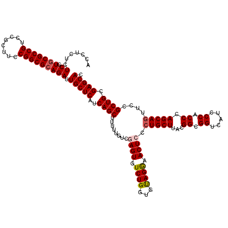 secondary structure