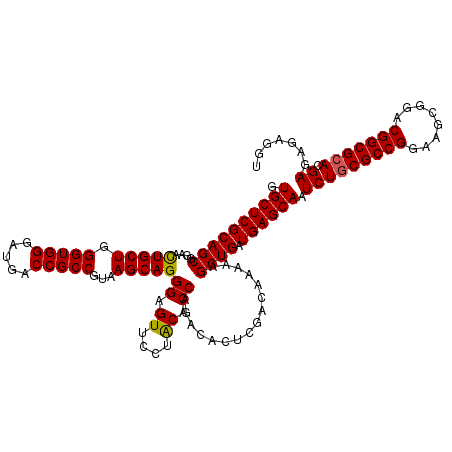 secondary structure