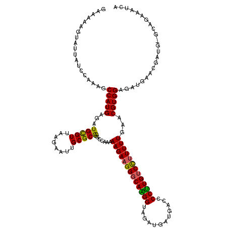 secondary structure