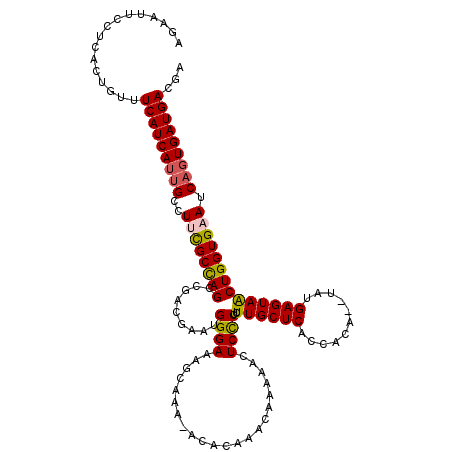 secondary structure