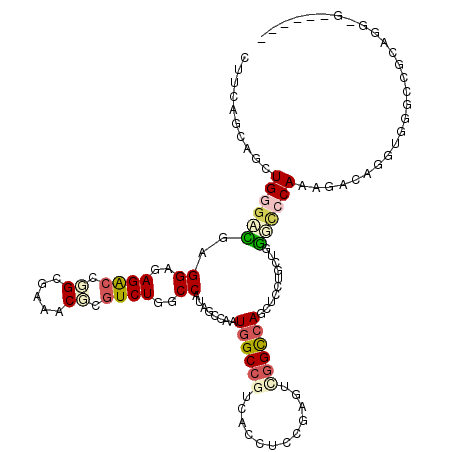 secondary structure