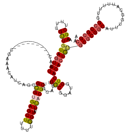 secondary structure