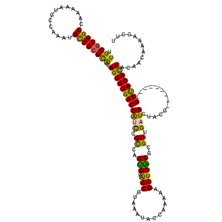 secondary structure