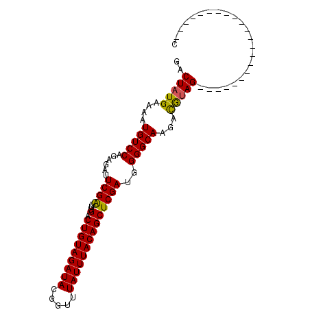 secondary structure