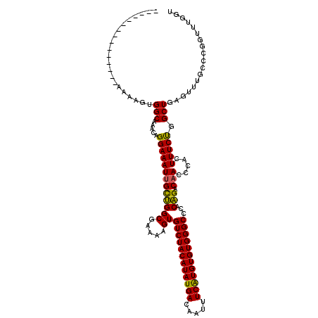 secondary structure