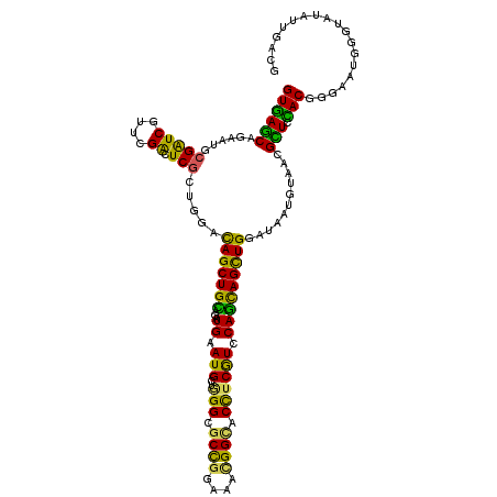 secondary structure