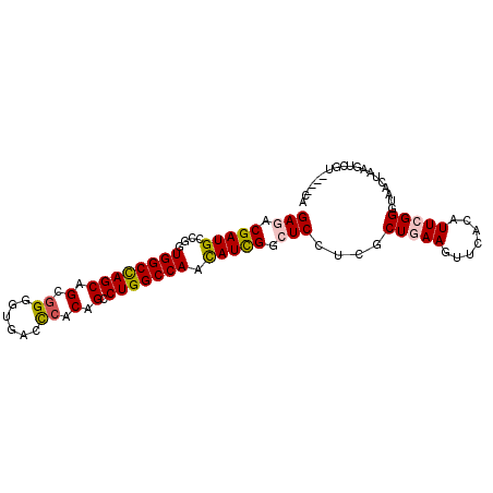 secondary structure