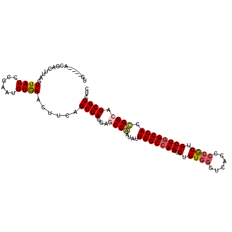 secondary structure