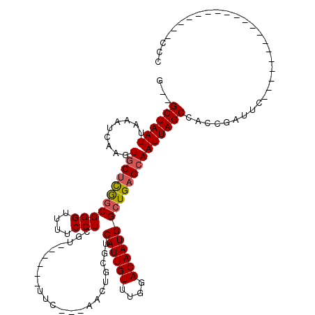 secondary structure