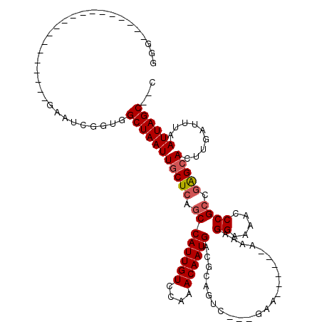 secondary structure