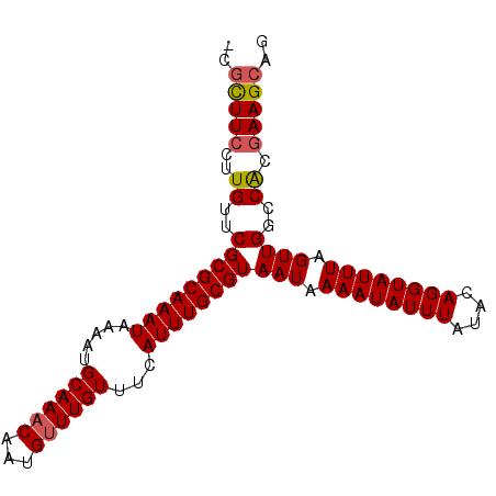 secondary structure