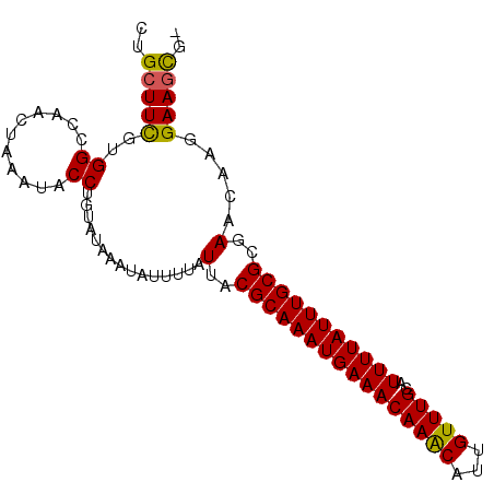 secondary structure