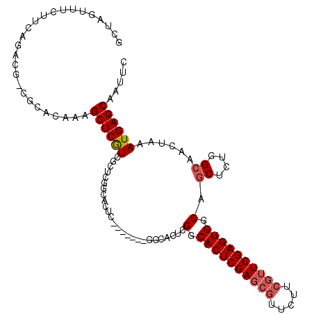 secondary structure