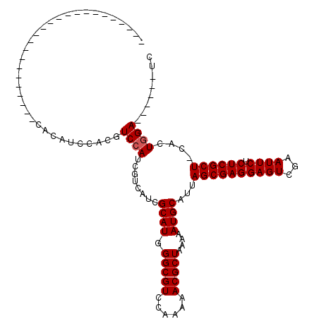 secondary structure