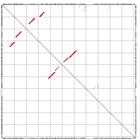dotplot