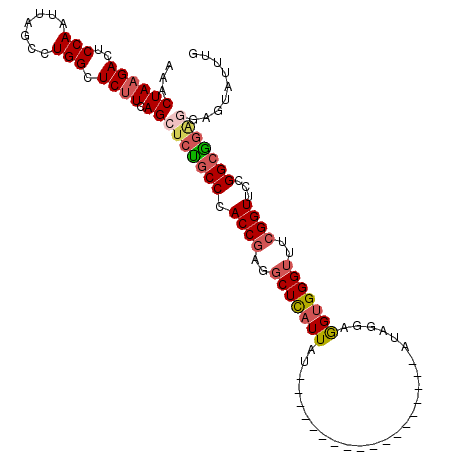 secondary structure