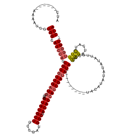 secondary structure