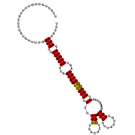 secondary structure