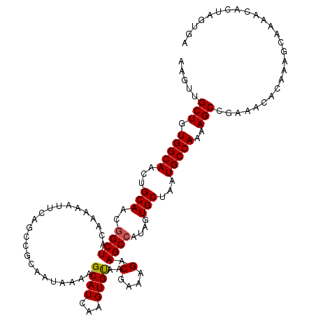 secondary structure