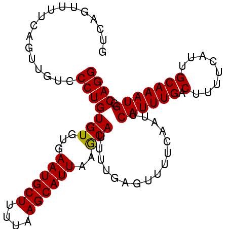 secondary structure