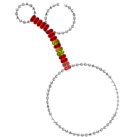 secondary structure