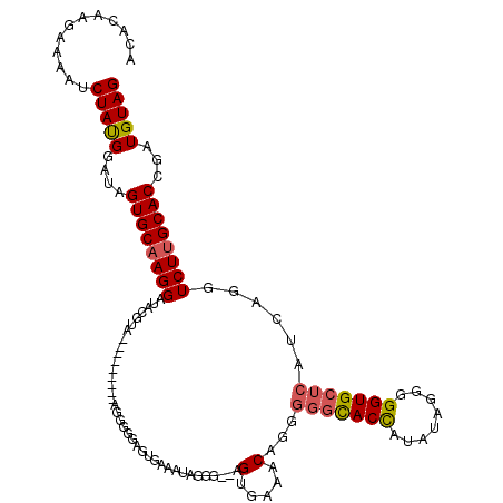 secondary structure